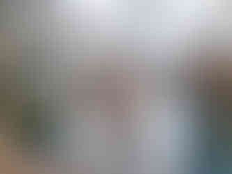 Po těchto zámeckých schodech se dá sejít od zámku v Mníšku pod Brdy přímo do zámecké zahrady