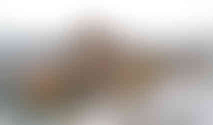 Vrchol PP Blšanský chlum