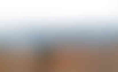 Jezevčice Květuška jako by se chlubila, že až sem na vyhlídku Hladká skála vyšlapala bez pomoci