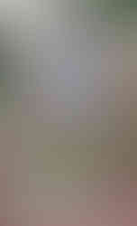 Karel Sabina našel místo věčného odpočinku na Olšanských hřbitovech v Praze