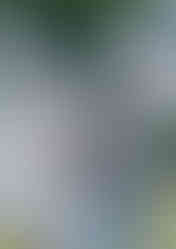 Hrob komika Vlasty Buriana zdobí umělcovy dlaně