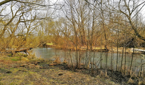 S výstavbou Vltavské kaskády ztratily Modřanské a Komořanské tůně svůj původní smysl a dnes jsou cenným biotopem