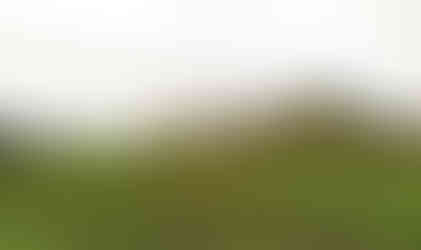 Pohled z třetího nejmenšího kopečku v řadě - Šibeníku na Malý vrch a Křížové vršky