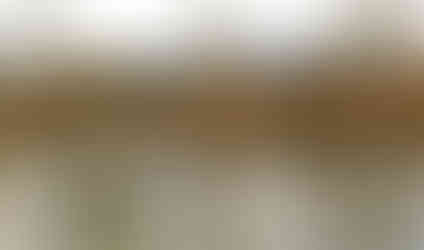 Čekání na nějakou dobrotu na vltavských březích v Modřanech