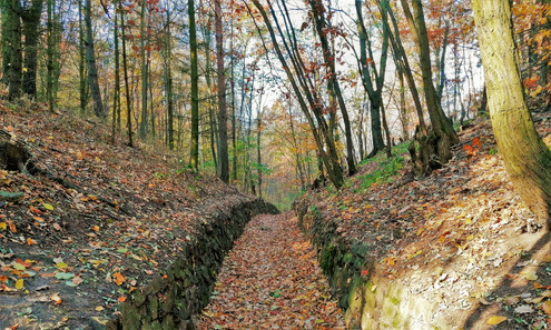 Podzimní cesta k pohřební kapli svatého Jana Křtitele ve Všenorech