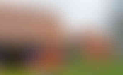 Gočárovy domky původně stály na letišti v Kbelích; později se přestěhovaly do pražské ZOO