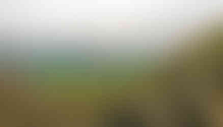 Na vrcholu Plešivce