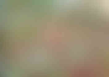 Židovský hřbitov Hřivčice se vyhnul cílené devastace v období okupace