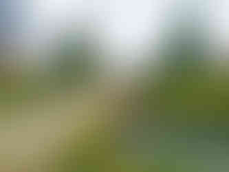 Jarní květinové záhony v zámecké zahradě v Libochovicích