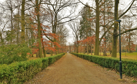 Hlavní osová linie zámeckého parku v Kunraticích