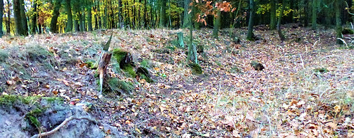 X - Žižkovy valy (VP).JPG