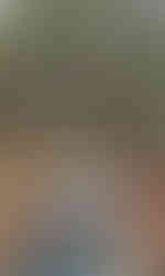 Na Olšanech má hrob i národní umělkyně herečka Leopolda Dostálová, velká přítelkyně Hany Benešové