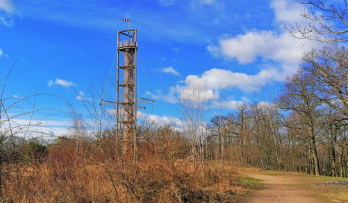 Odkrytá vrstva Akropole v blízkosti rozhledny Závist v Národní kulturní památce Hradiště Závist