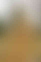 Na Olšanských hřbitovech najdeme hrob Anny Náprstkové, milované matky Vojty Náprstka