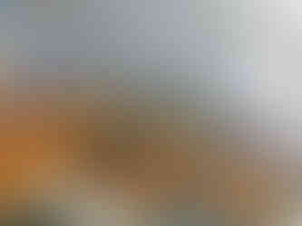 Koupel v podzimní Berounce v Dobřichovicích