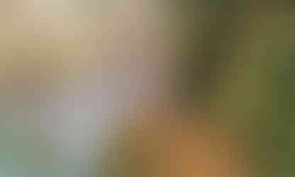 Nad hladinou Vltavy v Údolí Svatojánských proudů