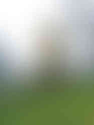 Vrch Skalka s věží od hradu