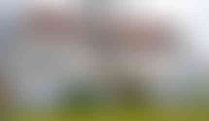 Dnes sídlí v Grabově vile úřad osmého pražského obvodu