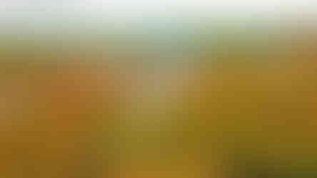 Podzimní výhled z Hostibejku na město Kralupy nad Vltavou