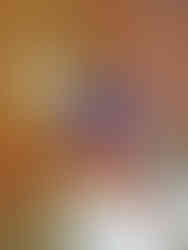 Prostor sálu bastionu Gorlice na Vyšehradě prošel rekonstrukcí v 90. letech 20. století