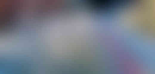 Křehká krása namrzlých stébel