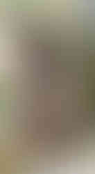 Své místo má na vyšehradském hřbitově i operní pěvec Přemysl Kočí