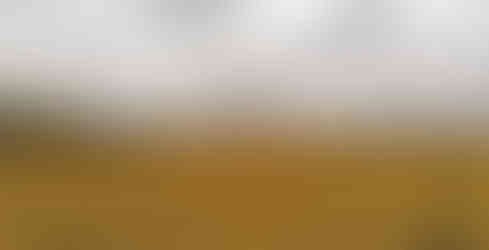 Velmi cenné prostředí Přírodní památky Hrnčířské louky