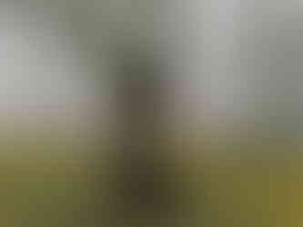 Památnou Lípu v Třebenicích najdeme na místním hřbitově