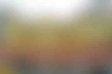 Petschkova vila se pomalu stává Památníkem národního písemnictví, který se sem přesouvá ze Strahovského kláštera