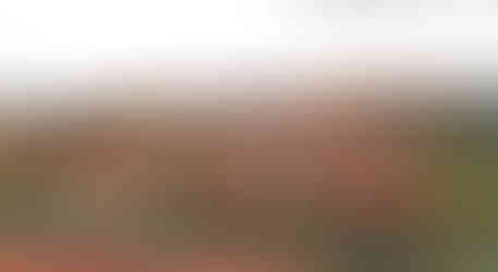 Takto můžeme z vyhlídky Gorlice na pražském Vyšehradě vidět lokalitu Albertov