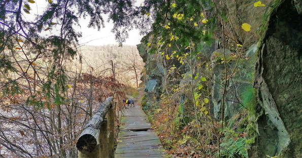 Cesta podél Štěchovické přehrady vede v lokalitě Na Fáberce i po dřevěném podvalovém chodníku