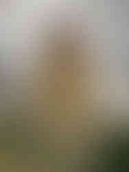 Zvonice kostela svatého Prokopa ve čtvrtém pražském městském obvodu v sobě skrývá vzácný zvon z roku 1505