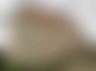 Kostel svatého Pankráce ve svých základech skrývá původní rotundu