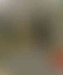 Zde odpočívá český spisovatel Achille Gregor, který po válce pomáhal s likvidací epidemie břišního tyfu v terezínské pevnosti