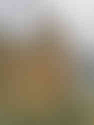 Přísné věže kostela svaté Ludmily na pražském náměstí Míru