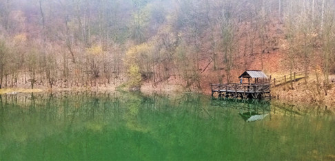 K hladině Kotelního rybníka se prudce snižují svahy Liščí hory