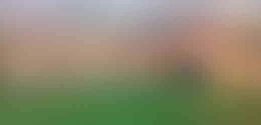 K hladině Kotelního rybníka se prudce snižují svahy Liščí hory