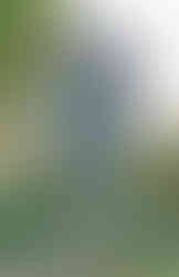 Při procházce vyšehradským hřbitovem narazíme i na hrob jednoho z největších českých přírodovědců Jana Svatopluka Presla