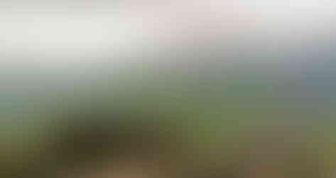 Pohled z vrcholu Lipské hory do údolí