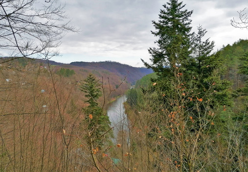 Výhled z Raisovy vyhlídky už omezují vzrostlé stromy