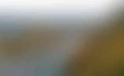 Pohled z hradiště Kazín na tok řeky Berounky