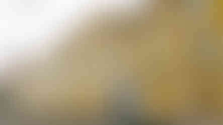 Klášter alžbětinek dnes znovu patří tomuto řeholnímu řádu; v areálu se nachází nemocnice, která poskytuje hlavně následnou péči