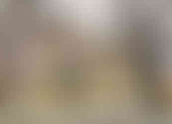 Kostel Všech svatých v Litoměřicích