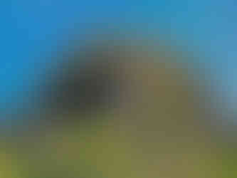 Zřícenina hradu Kamýk