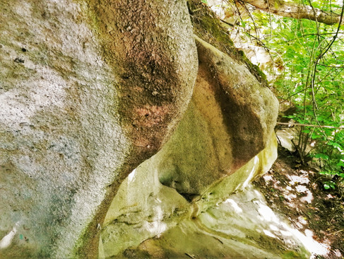 Ukázka voštin na Dvořákově stezce