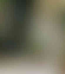 Vedle sebe na pražském Vyšehradě odpočívají otec podoby Rumcajse malíř Radek Pilař a textař Pavel Vrba