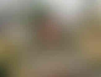 Hrob stavitele Quida Bělského v nejstarší části Olšanských hřbitovů u kostela svatých Rocha, Šebestiána a Rozálie