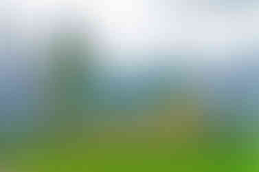 Bazilika svatých Petra a Pavla během teplého silvestrovského dne