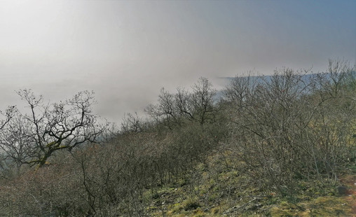 Svahy Ovčína zahalené do zimní mlhy, do které se opírá ještě slabé slunce