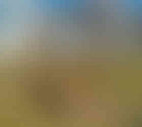 Jedním z děl, které zdobí park Hadovka je Cesta od Michala Gabriela